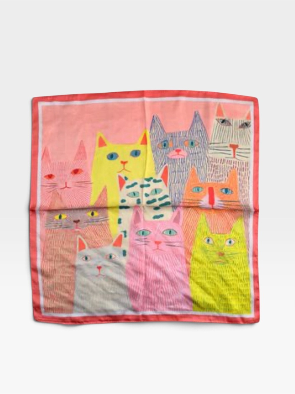 Colorful Cat Print scarf for holly